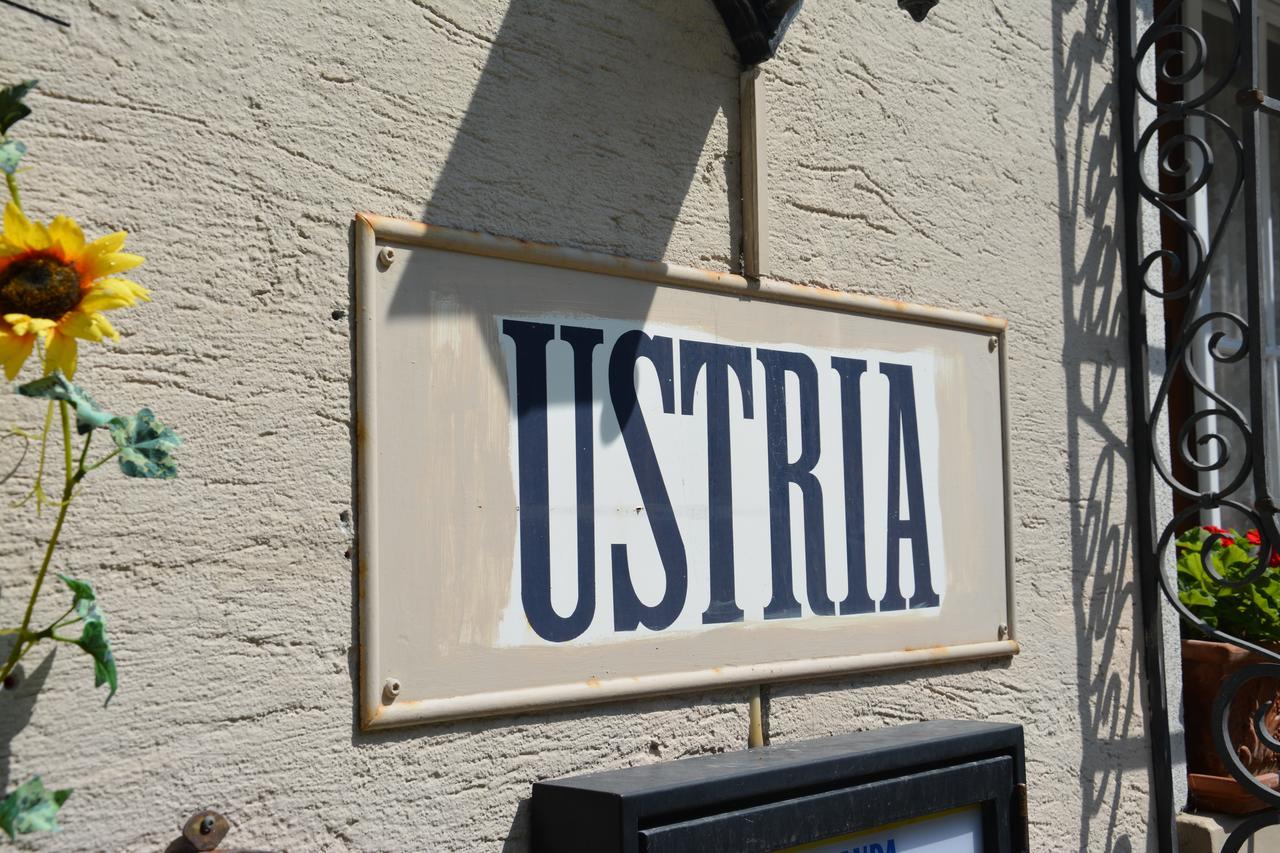 Ustria Crusch Alva Bed and Breakfast Tavanasa Eksteriør billede